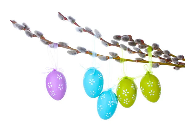 stock image Pussy-willow twigs with Easter eggs isolated on white