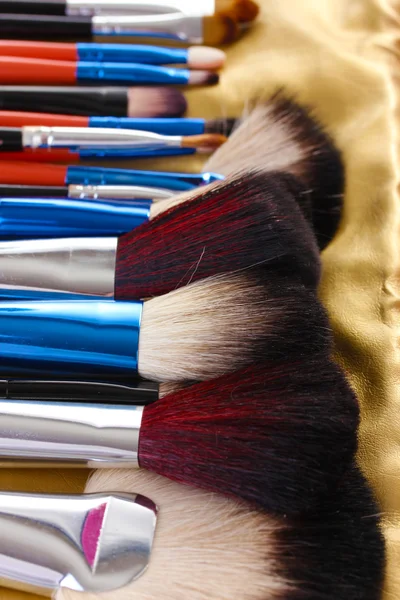 Set van make-up borstels in gouden leergeval close-up — Stockfoto