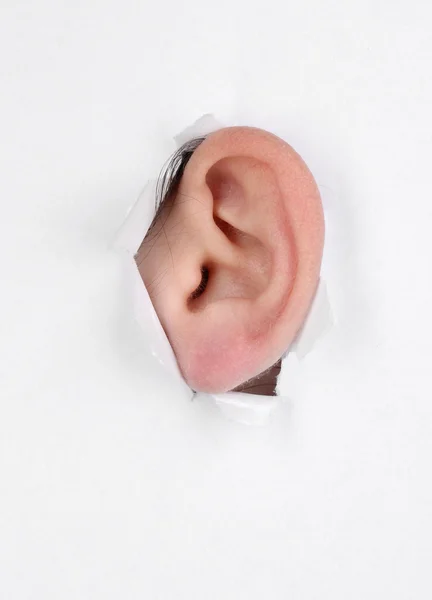 Menschliches Ohr lugt aus weißem Papier hervor — Stockfoto