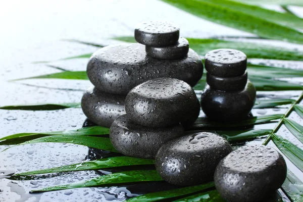 Pedras de spa com gotas na folha de palma verde no fundo cinza — Fotografia de Stock