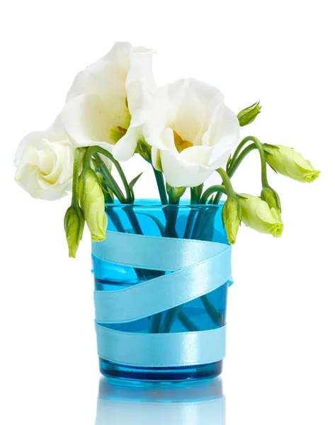 Bellissimi fiori primaverili in vaso blu isolato su bianco — Foto Stock