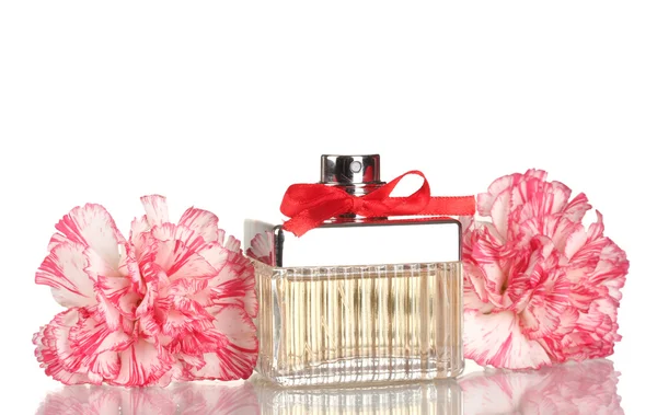 Perfume bottle with red bow and carnation isolated on white — Stock Photo, Image
