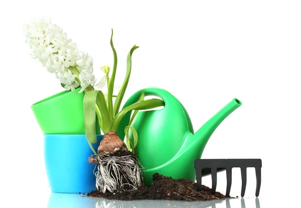 Beautiful hyacinth, soil, watering can and rake isolated on white — Stock Photo, Image