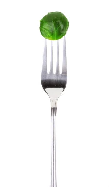 Färsk brysselkål på gaffel isolerad på vit — Stockfoto