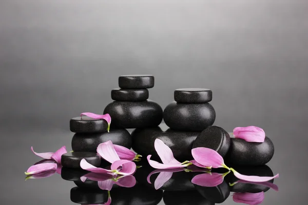 Spa stones and petals on grey background — Stock Photo, Image