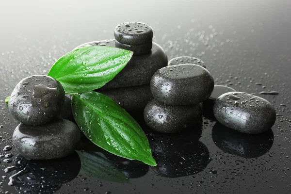 Спа камені з краплями і зеленим листям на сірому фоні — стокове фото