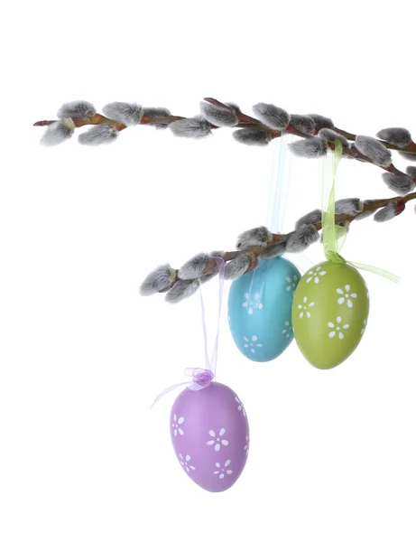 Ιτιά μουνί κλαδιά με τα αυγά Πάσχας που απομονώνονται σε λευκό — Φωτογραφία Αρχείου