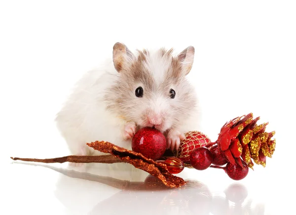 Cute hamster and autumn twig isolated white — Stock Photo, Image