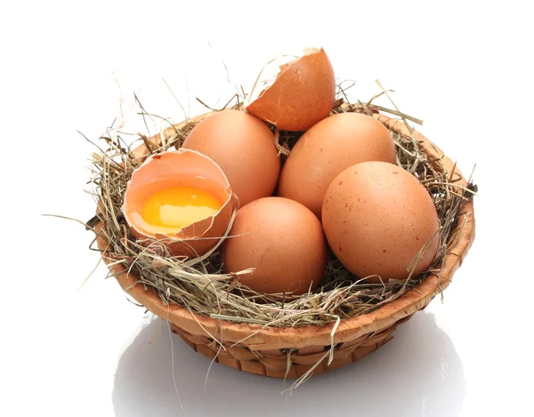 Kippeneieren in een nest geïsoleerd op wit — Stockfoto