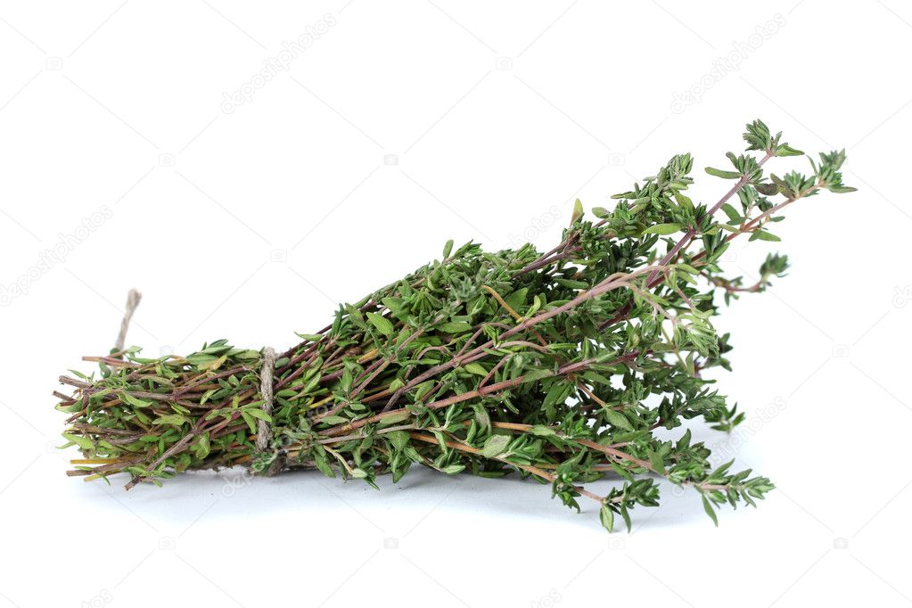 Fresh green thyme isolated on white