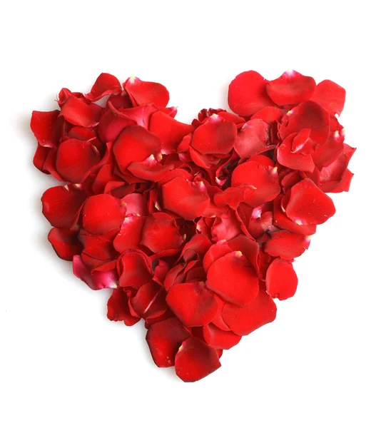 흰색에 분리되어 있는 아름다운 붉은 장미 꽃잎의 심장 — 스톡 사진
