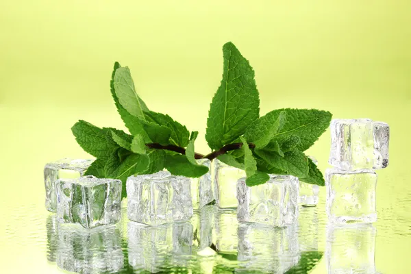 Fresh mint leaf and ice cubes with droplets on green background — Stock Photo, Image