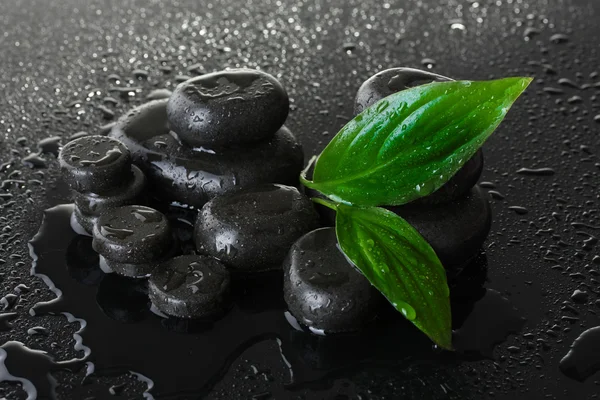 Spa stones with drops and green leaves on grey background — Stock Photo, Image