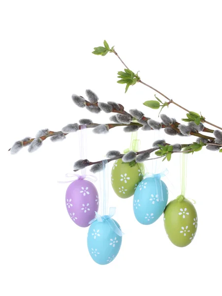 Pussy willow větvičky s velikonoční vajíčka izolované na bílém — Stock fotografie