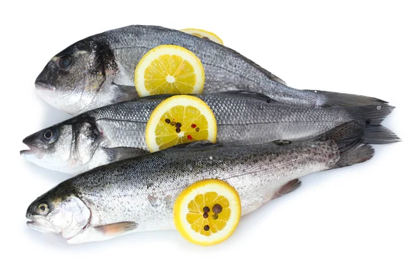 Pesci freschi con limone e pepe isolati su bianco — Foto Stock