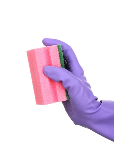 Sponge in hand isolated on white — Stock Photo, Image