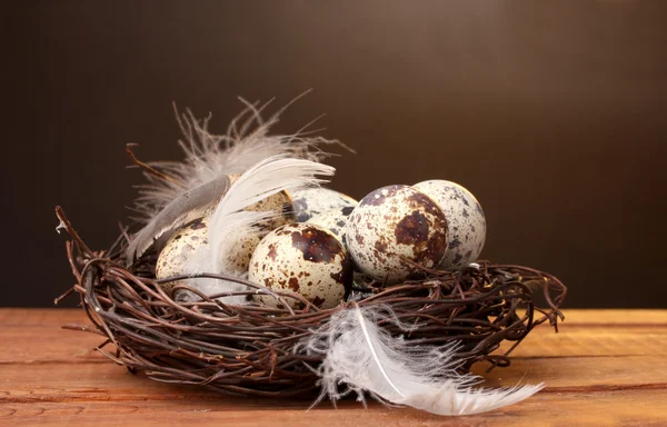 Quail eggs in nest on wooden table on brown background — Stock Photo, Image