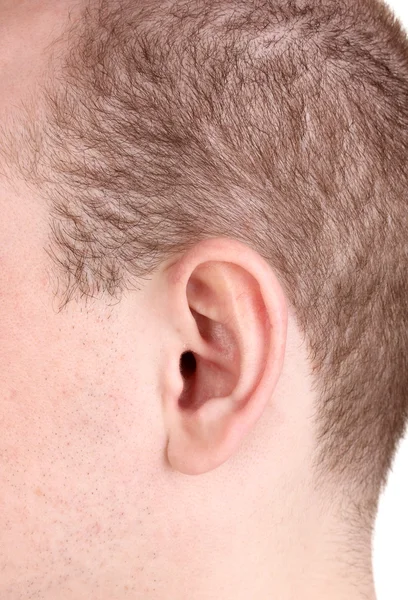 Emberi fül közelről elszigetelt fehér — Stock Fotó