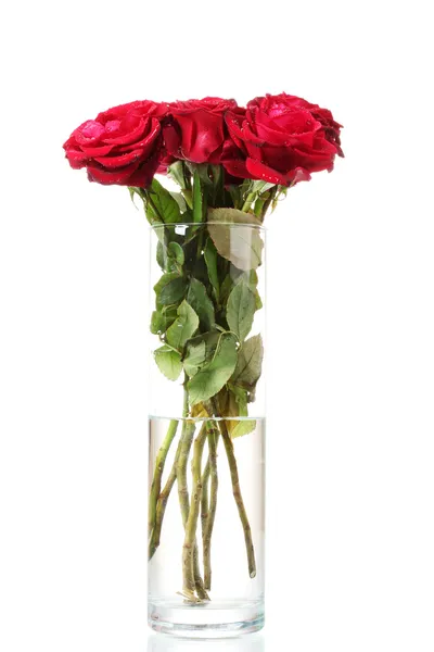 白で隔離される花瓶に美しい赤いバラ — ストック写真