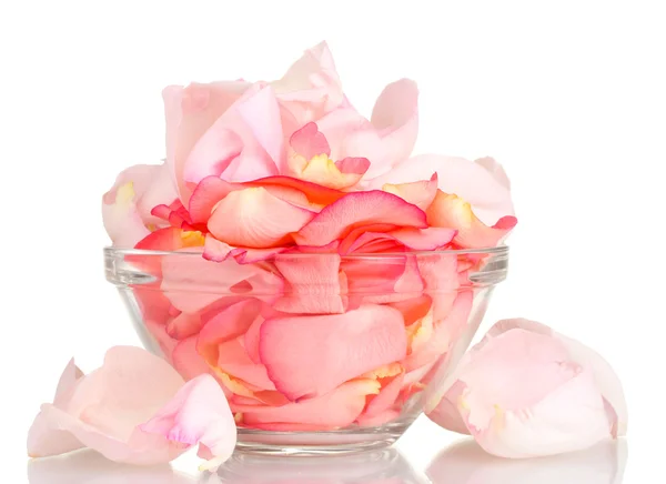 Hermosos pétalos de rosa rosa en tazón de vidrio aislado en blanco — Foto de Stock