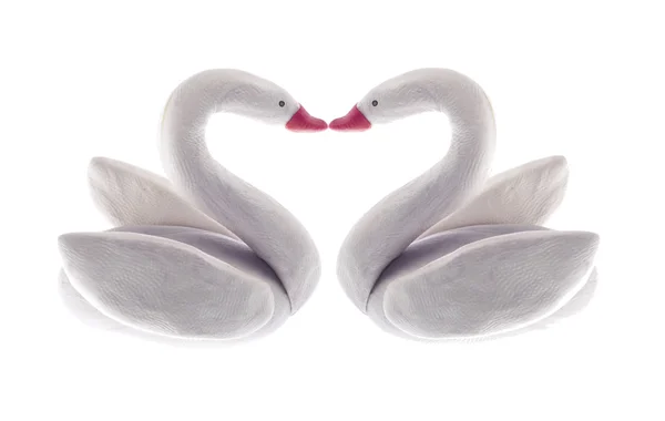 Valentine casal cisnes — Fotografia de Stock