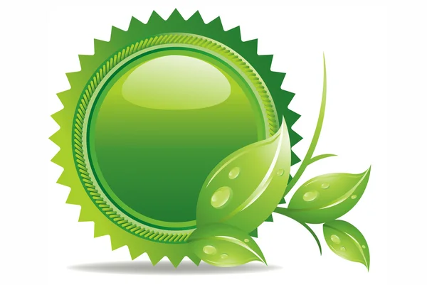 Кнопка экологии - зеленые листья — стоковое фото