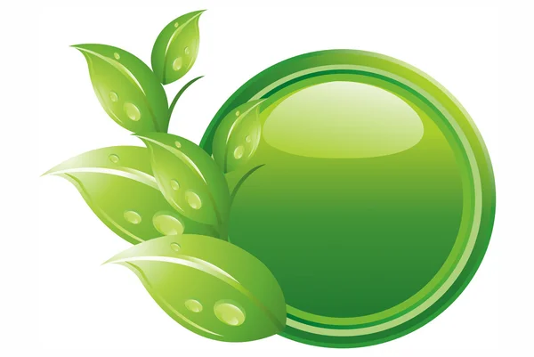 Кнопка экологии - зеленые листья — стоковое фото