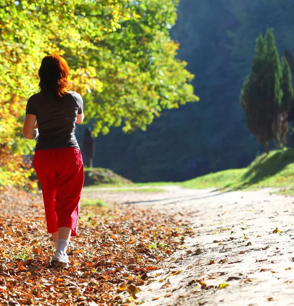 Woman and man walking cross country trail in autumn forest — Stock Photo, Image