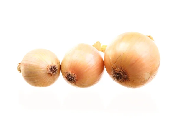 Onions isolated — Stock Photo, Image