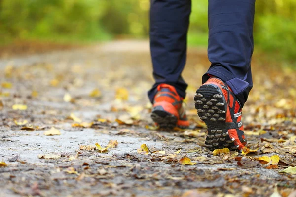Mann läuft Langlaufloipe im Herbstwald — Stockfoto