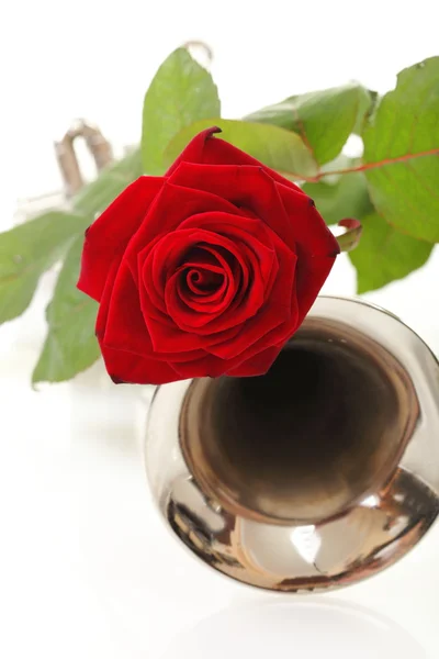Красная роза и старая труба — стоковое фото