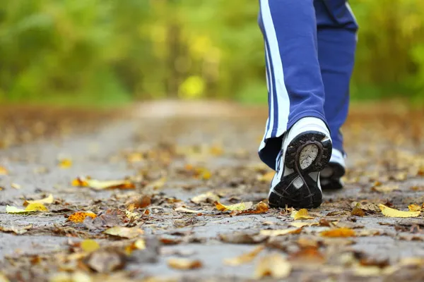 Frau läuft Langlaufloipe im Herbstwald lizenzfreie Stockbilder