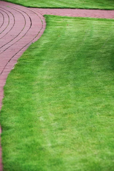 Садовая каменная дорожка с травой, кирпичная тропинка — стоковое фото