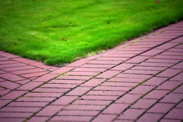 Garden stone path with grass, Brick Sidewalk — Stock Photo, Image