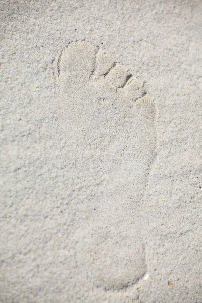 Footsteps in sandy — Stock Photo, Image