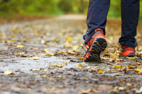 Mann läuft Langlaufloipe im Herbstwald — Stockfoto