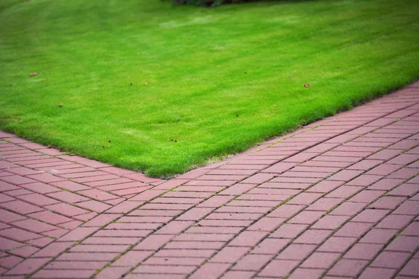 Zahradní kamenná cesta s trávou, cihlový chodník — Stock fotografie