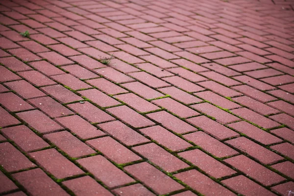 Caminho de pedra de jardim Calçada de tijolo — Fotografia de Stock