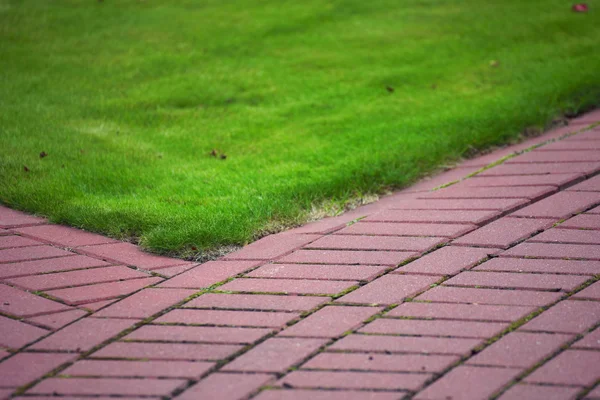 Garden stone path with grass, Brick Sidewalk — Stock Photo, Image
