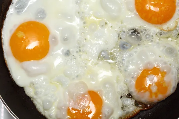 Yumurta Scramble — Stok fotoğraf
