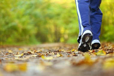 Woman walking cross country trail in autumn forest clipart