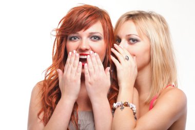 Society gossip - two happy young girlfriends talking white backg clipart