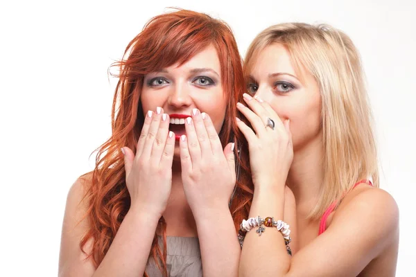 Society gossip - two happy young girlfriends talking white backg — Stock Photo, Image