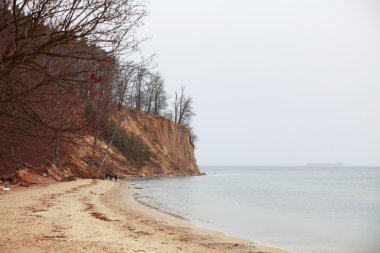 sonbahar cliff, orlowo, gdynia, Polonya