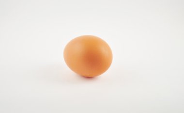 tavuk yumurta