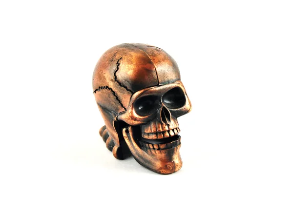 stock image Bronze skull