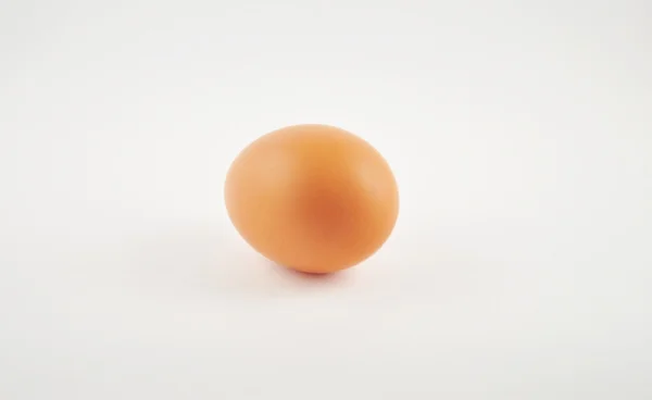 stock image Chicken egg