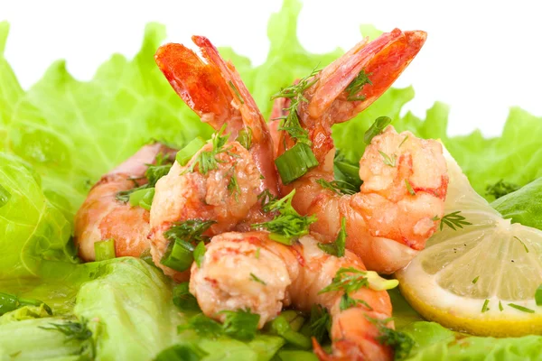 stock image Tiger Prawns