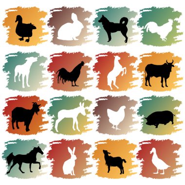 Big set of farm animals clipart