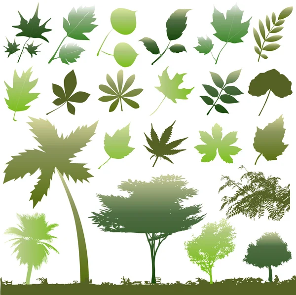 Conjunto de árboles y hojas — Archivo Imágenes Vectoriales